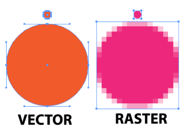 Vector and Raster Picture