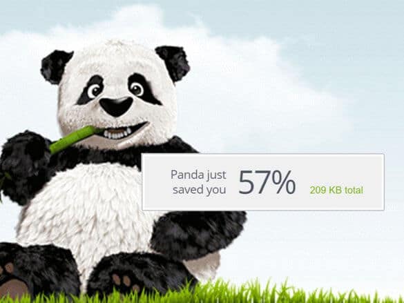 Panda saving image